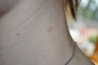 /album/fotogalereya/a005-dsc-01545-jpg1/